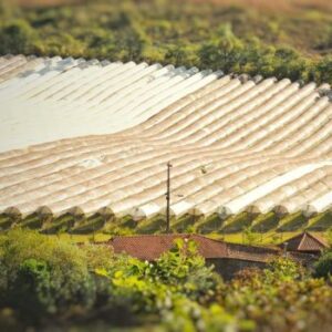Vinícola Valparaiso Vinhedos Cobertos